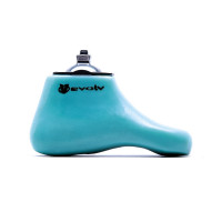 Evolv Adaptive Foot (Eaf) Evolv Adaptive Foot (Eaf)